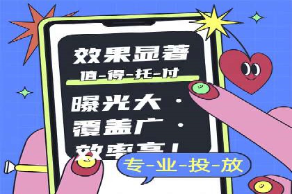 竞价托管服务案例解析